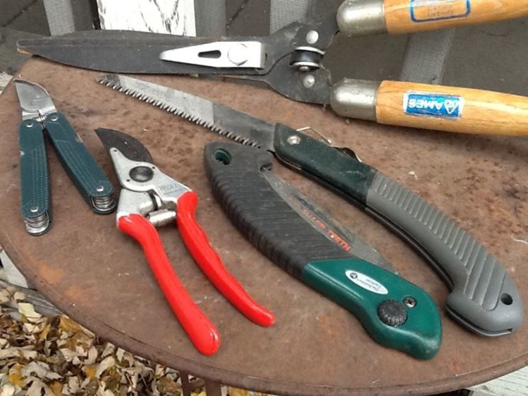 Apple pruning tools