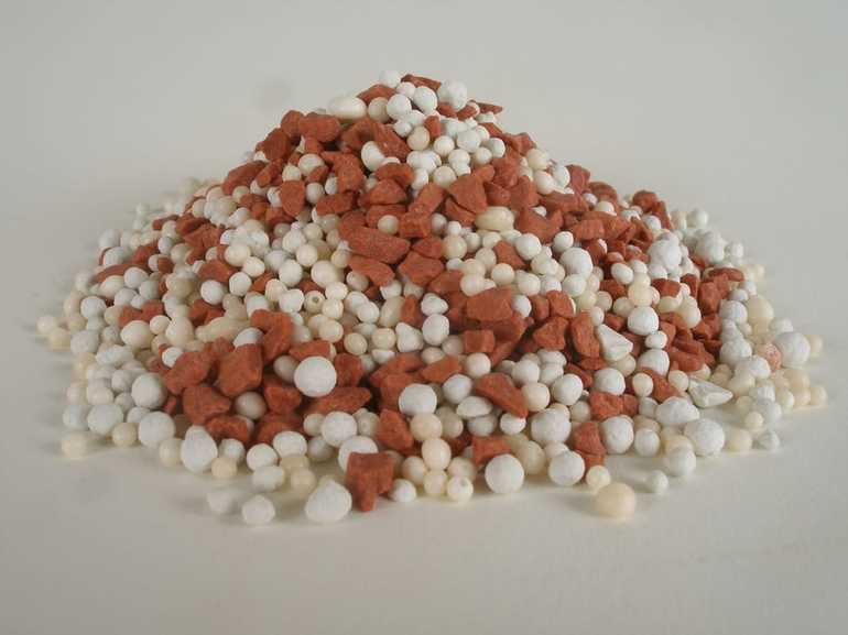 Fertilizer for currants
