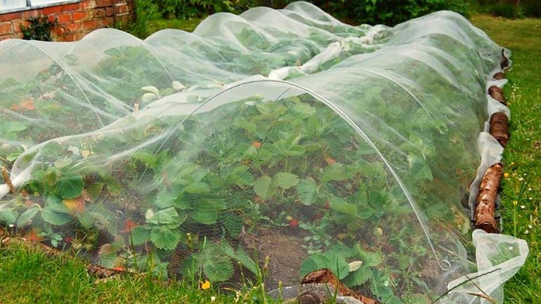 The benefits of sheltering