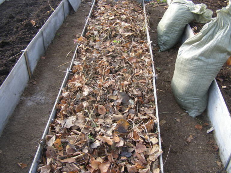 Plast from natural products