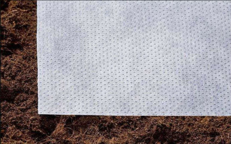 Agrofibre for insulation