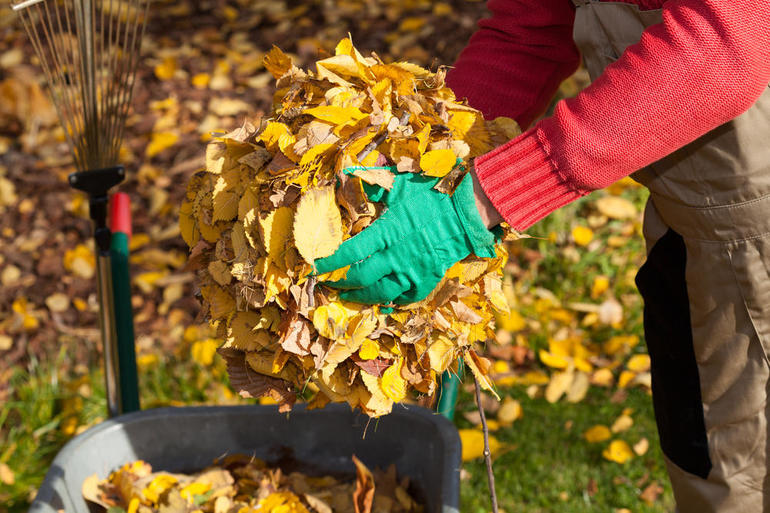 Garden cleaning