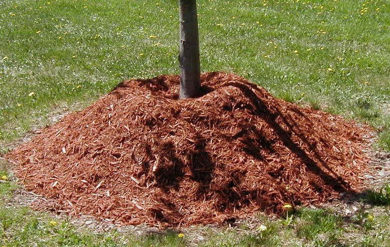 Pour peat mulch