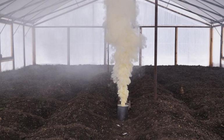 Autumn polycarbonate greenhouse processing