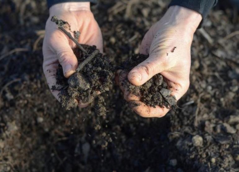 Processing greenhouses in the fall from pests and diseases