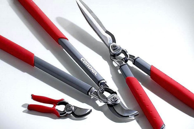 Blackberry pruning tools