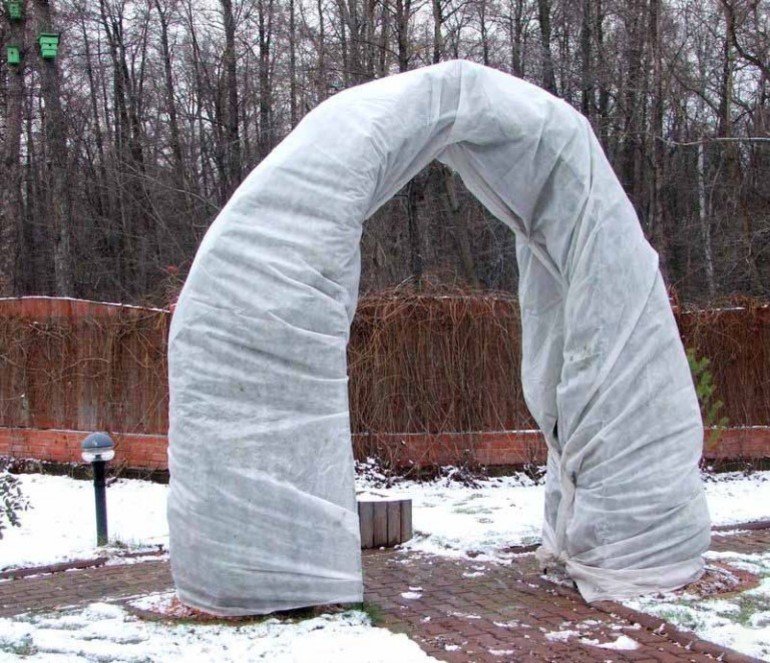 Shelter for climbing roses