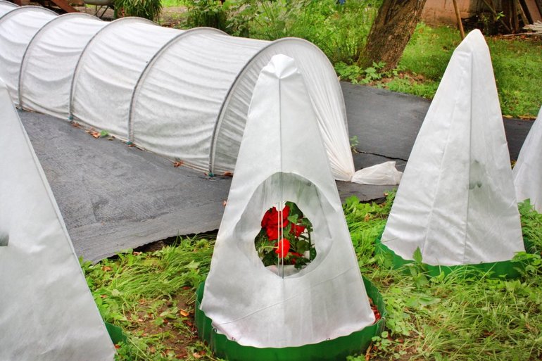 Winter covering material for plants