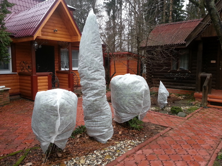 Plant warming