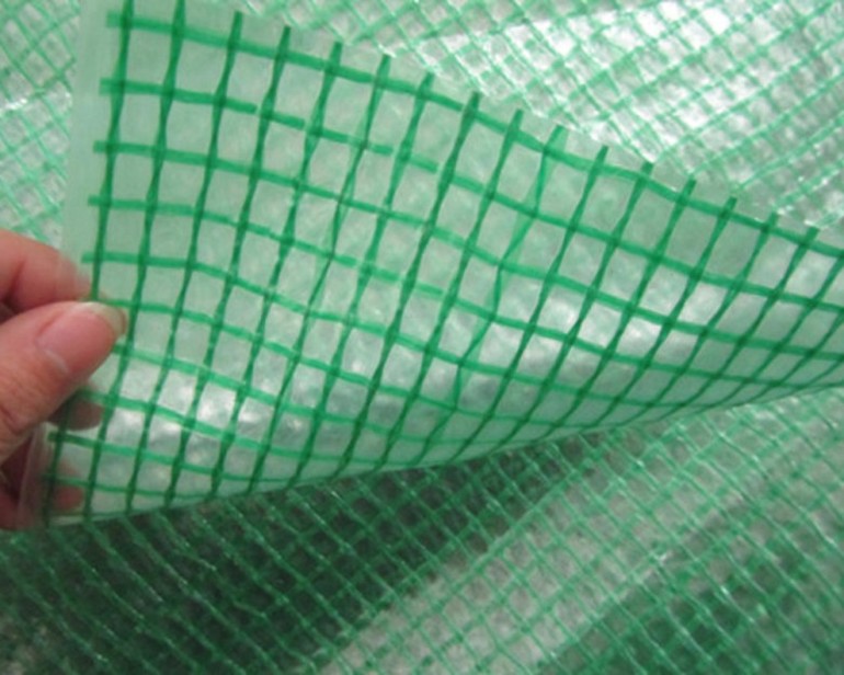 Reinforced film
