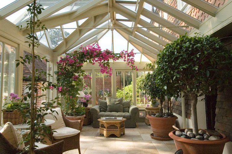 Winter plants and flowers for the home