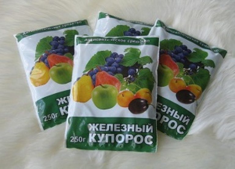 Iron sulphate gardening application in autumn