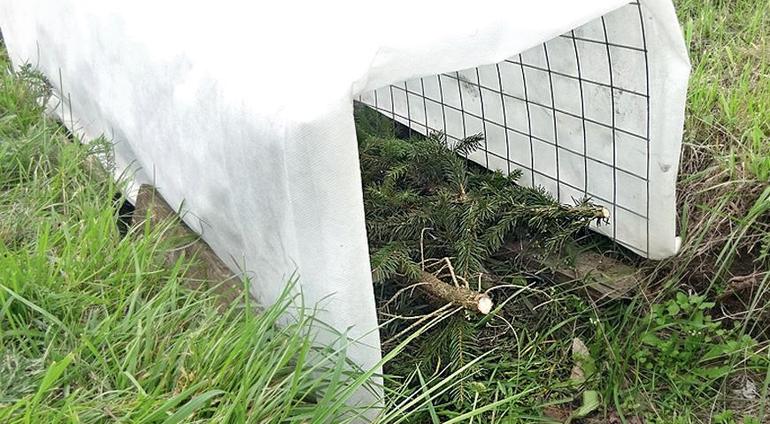 Effective grape shelter