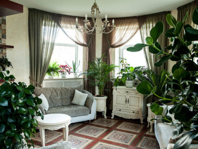 Indoor Winter Plants