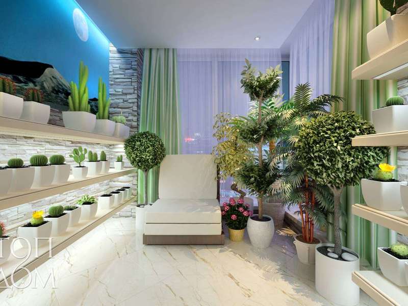 Winter plants in the apartment