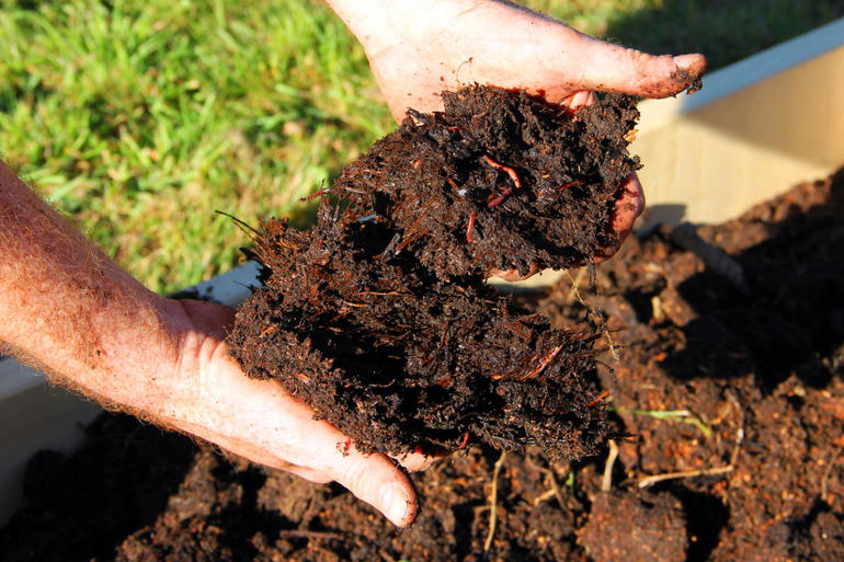 Soil fertilizer