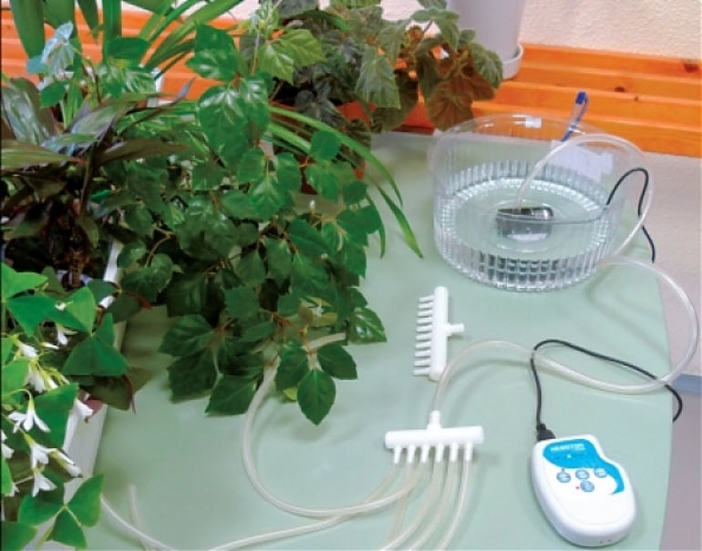 Automatic watering in the garden