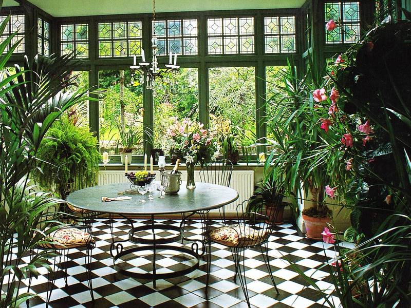 Winter garden in the house