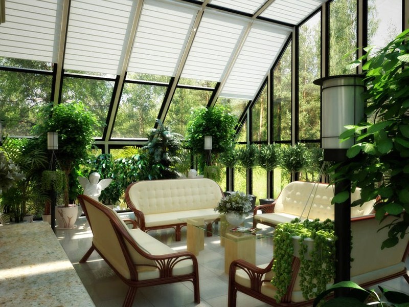 Winter plants