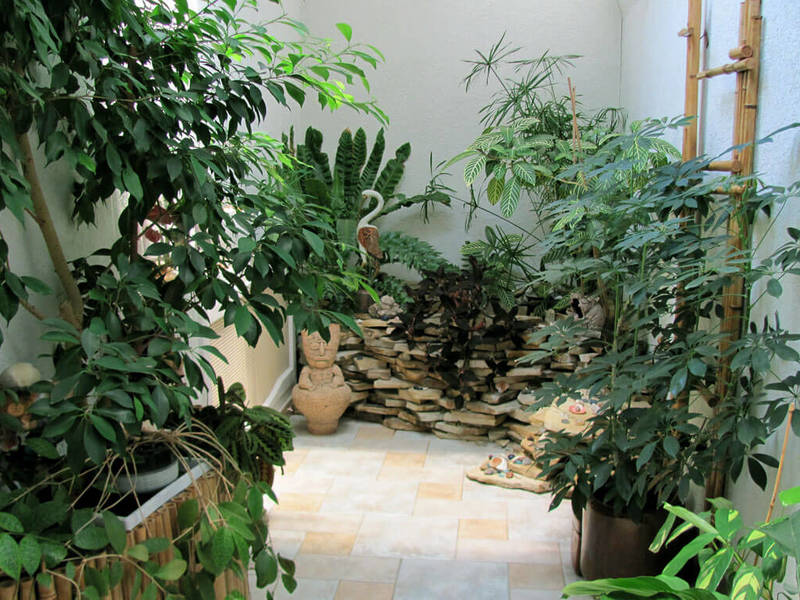 Green garden in the house