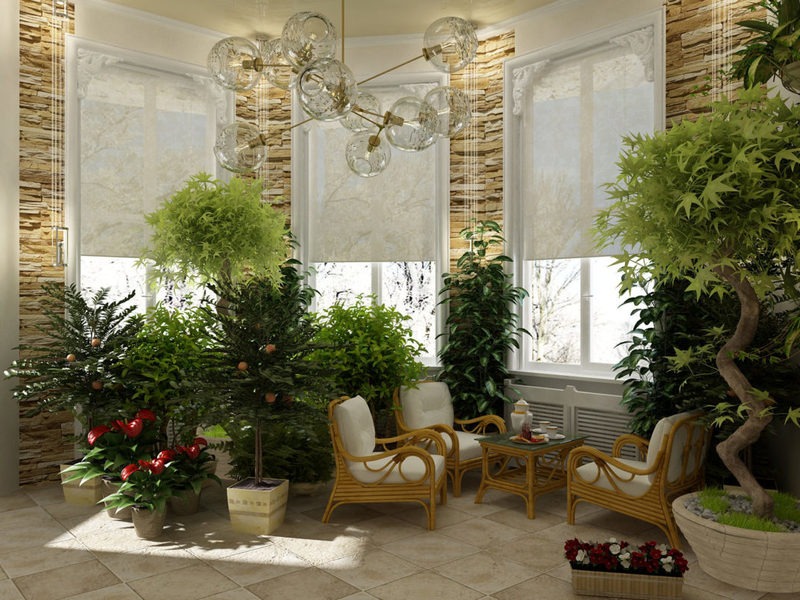 Do-it-yourself green garden in the house