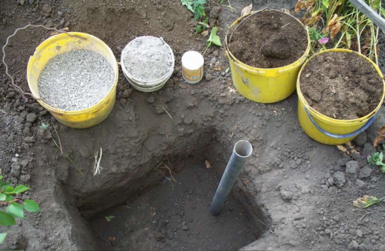 Preparing a pit for planting grape cuttings
