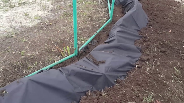Dry shelter for grapes