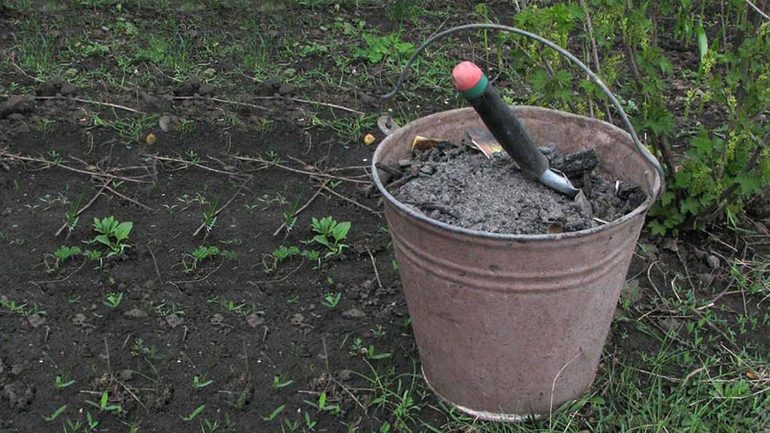 Fertilizer vines