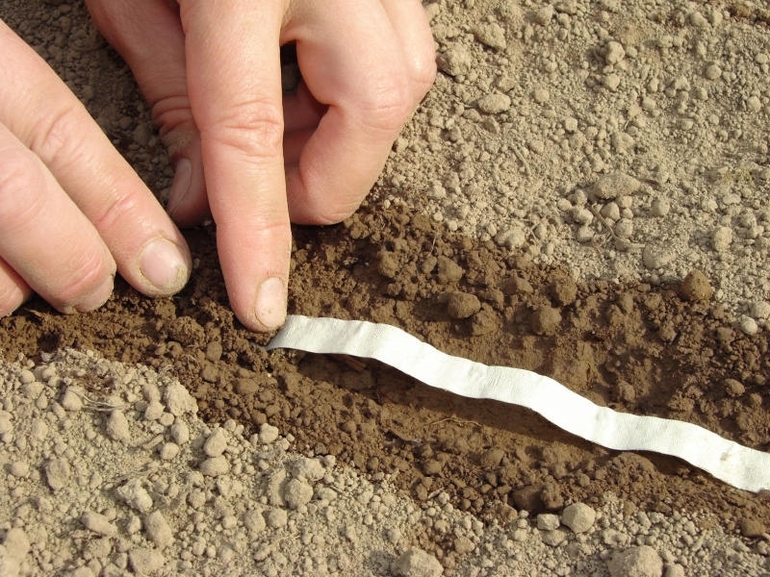 Sowing on paper tapes