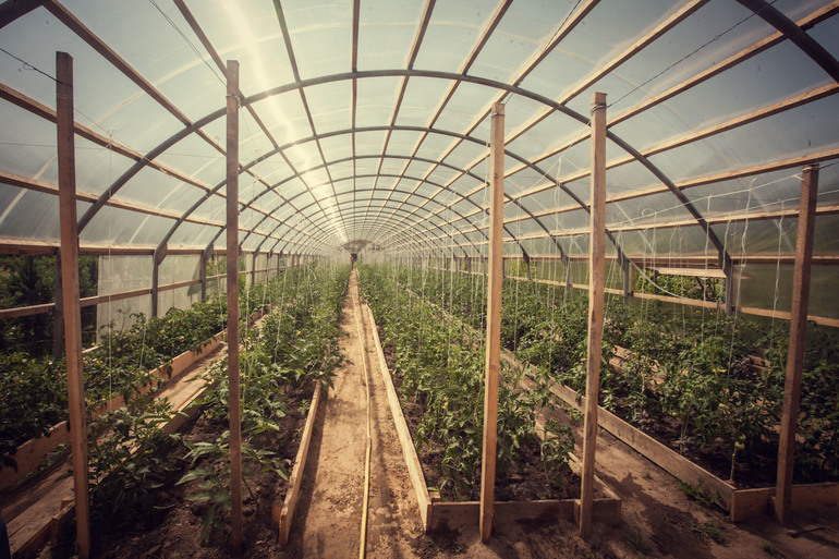 Features of the construction of the greenhouse