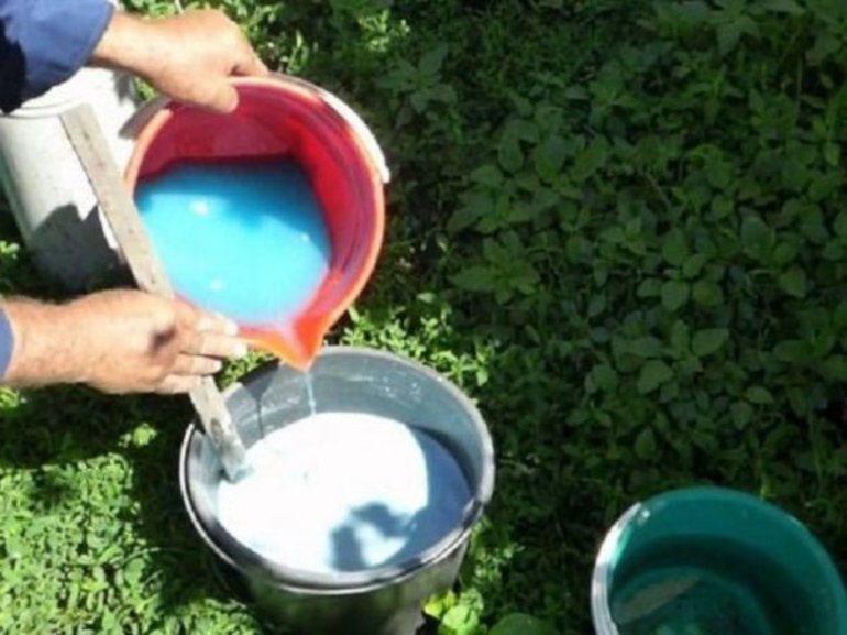 Treatment of plants with copper sulfate in autumn dosage