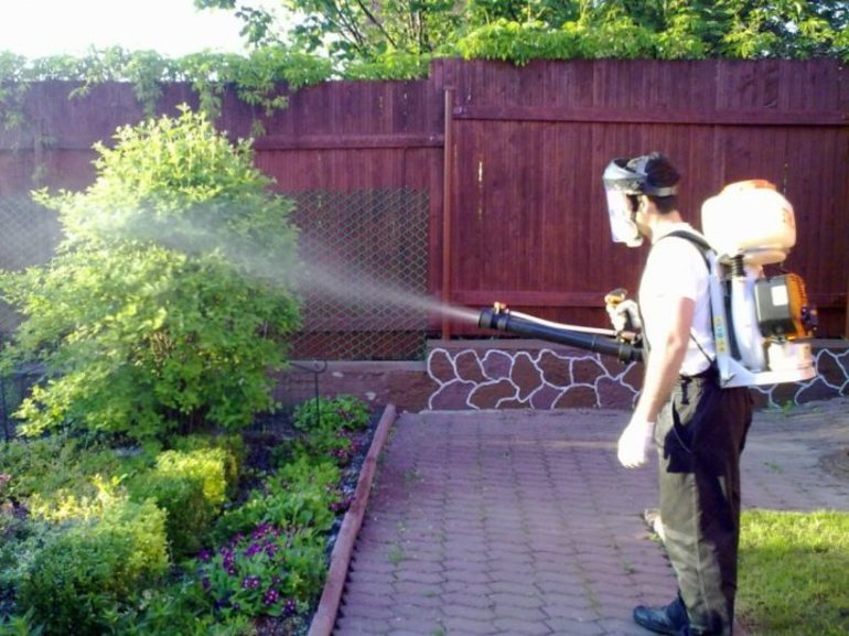 vitriol in gardening in the fall