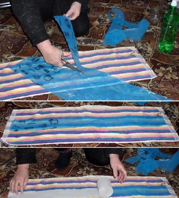 How to grow seedlings with toilet paper