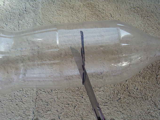 Cut