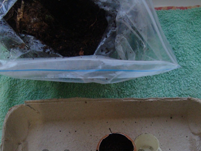 Fill with soil