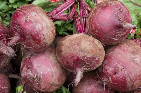 outdoor beet care