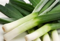 leek planting and care