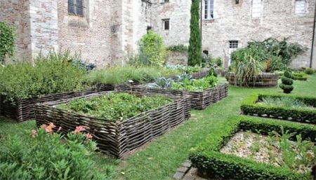 growing herbs in the garden