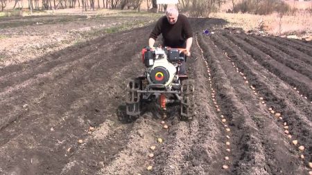 under the walk-behind tractor