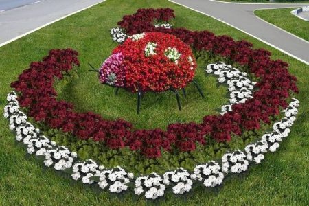 flower beds and flower beds do-it-yourself