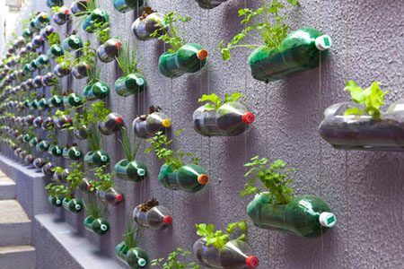 from plastic bottles