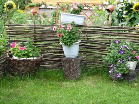 beautiful design of a summer cottage
