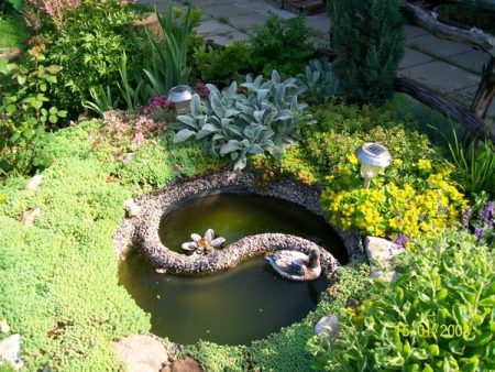 pond in a summer cottage