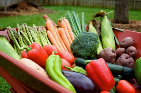 Lunar calendar for may 2017 gardener