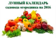 lunar calendar garden vegetable garden 2016
