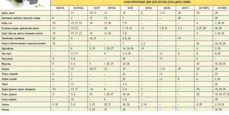 Lunar sowing calendar of the gardener and gardener for 2016, a table for seeds