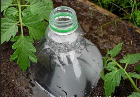 dig a bottle