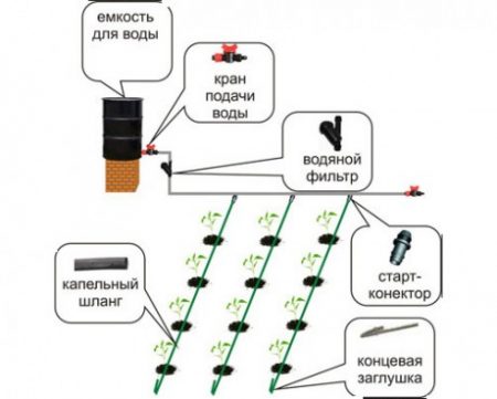 do-it-yourself drip irrigation in the country
