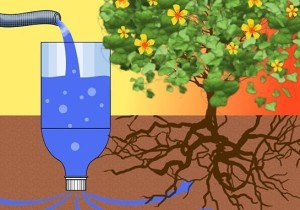 drip irrigation