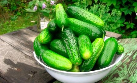 universal cucumber
